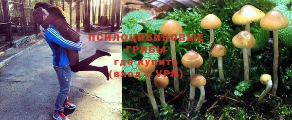 спиды Михайловск