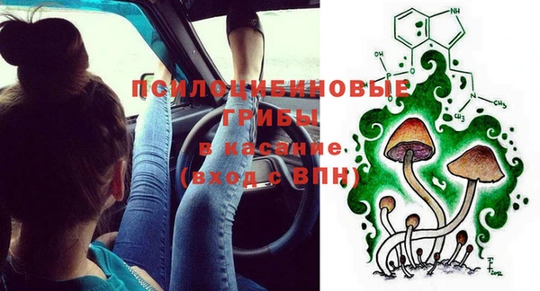 тгк Михайлов