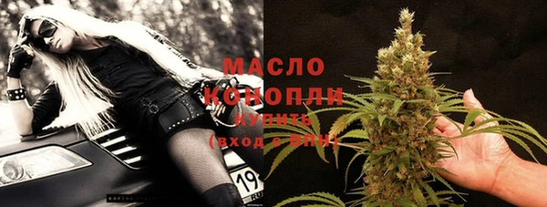 тгк Михайлов
