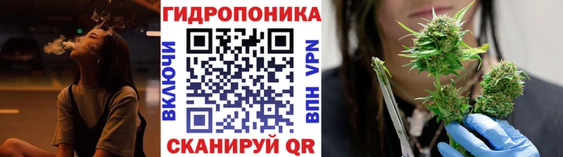 Конопля SATIVA & INDICA  что такое   Осинники 
